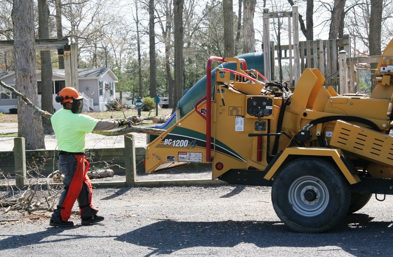 Delaware Forest Service certifies and Baywood as Tree Friendly